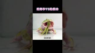 螳螂拳VS蛤蟆功 搞笑配音#搞笑 #shortvideo