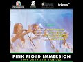 Pink Floyd Immersion - HI-FI Quadraphonic Experience