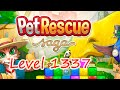 Pet Rescue Saga Level 1337 (NO BOOSTERS)