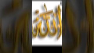 Allah hu Akbar ☪️| Miracle of Allah #like #shorts #viral #viralvideo #viralshorts #quran #islam #fyp