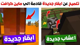 عاجل و رسمي تلميح عن ابقار جديدة قادمة الي ماين كرافت ؟! | ورود و اعشاب جديدة ؟!