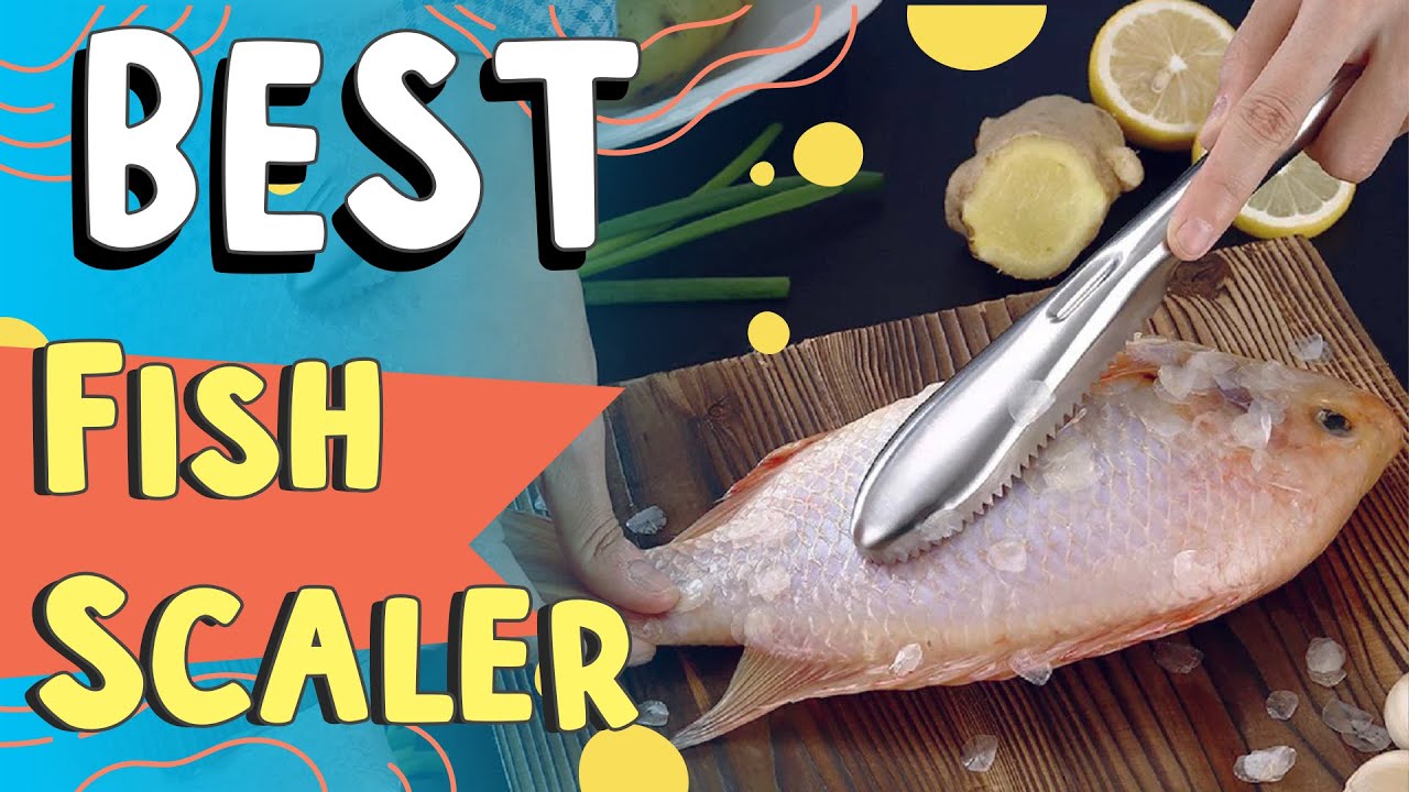 Top 5 Best Fish Scaler In 2023 | Best Fish Scaler On Amazon | Reviewed ...