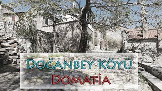 Aydın Doğanbey Köyü (Domatia)