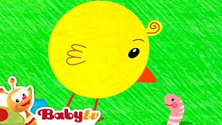 Os Pintinhos Piam 🐥🎶 | Canções e Rimas Infantis @BabyTVPT