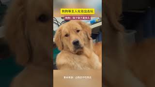 狗狗等主人化妆出去玩 狗狗：快了快了 是多久#puppy #pup #cute #instagood #pet #pets #animals #搞笑 #寵物 #little #萌宠 #萌寵