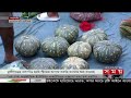 মুন্সীগঞ্জের ধলাগাঁও হাটে শীতের আগাম সবজি vegetable market munshiganj vegetable market