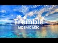 MOSAIC MSC - Tremble (Official Lyric Video)