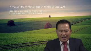 독수리의 먹잇감과 꿈꾸는 자의 기회, 먹잇감이 많아야 사냥에 좋고 기회가 많은 곳에 가야 기회를 더 포착