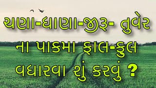 આજની કૃષિ માહીતી-ચણા-ધાણા-જીરૂ- તુવેર ના પાકમા ફાલ-ફુલ વધારવા શું કરવું?-Fal ful vadharvani dava