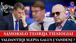 SĄMOKSLO TEORIJA TIESIOGIAI