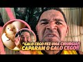 GALO CEGO SE OPEROU | GALO CEGO