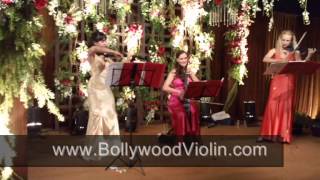 Bollywood violin. Hindi violinist. Trio India.