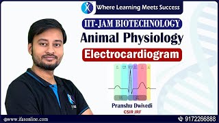 Animal Physiology | Electrocardiogram | IIT JAM Biotechnology (Biology) | IFAS