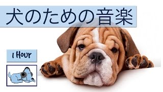 あなたの犬や子犬のための音楽療法 - 音楽であなたの犬を落ち着かヘルプ