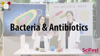 Bacteria \u0026 Antibiotics - SciFest 2021