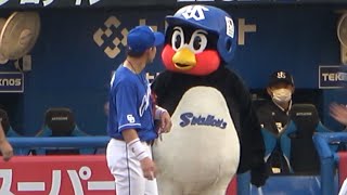 仲良しのおおしまくんと長話するつば九郎 (2023/05/13)