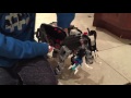 elephant lego mindstorms ev3 with expansion kit part 1