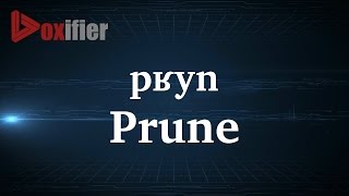 How to Pronunce Prune in French - Voxifier.com