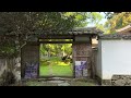 2023 05 03　新緑深まる如法寺仏殿の風景　〜愛媛県大洲市〜