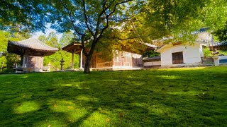 2023/05/03　新緑深まる如法寺仏殿の風景　〜愛媛県大洲市〜