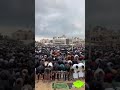 🔴Eid al-Adha prayer at Al-Aqsa Mosque with the presence of 140,000 Palestinians performed the Eid