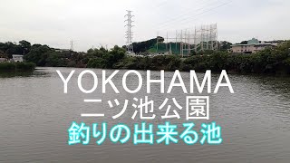 【小物釣り】釣りの下見で横浜：二ツ池公園の池に行っちゃいました！