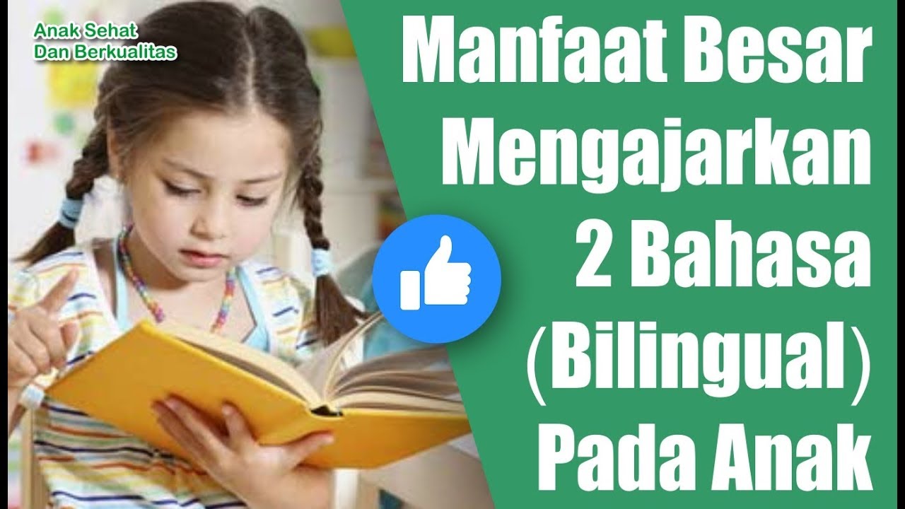 Manfaat Besar Mengajarkan 2 Bahasa (Bilingual) Pada Anak - YouTube