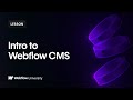 Intro to the Webflow CMS — Webflow tutorial