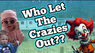 Jack and Lilly Livestream