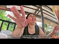 southern cebu vlog 2024 diy travel guide u0026 expenses moalboal and kawasan canyoneering