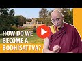 Why do we need to take Bodhisattva Vows