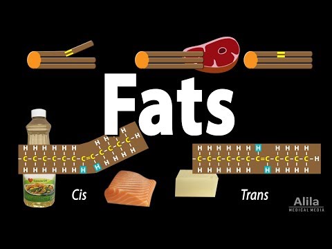 Why do we need solid fats?