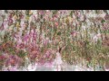 floating flower garden – 花と我と同根、庭と我と一体と βver.