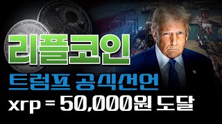 [ 엑스알피 ] 리플이 50달러 간다고? 100달러도 넘을 수 있는 이유 공개