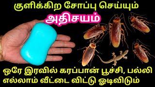 சோப்புல கொஞ்சம் அரிசி போடுங்க பணம் மிச்சம் ஆகும்| நொடியில் வேலை முடியும் | Kitchen tips tamil