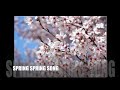 Spring Spring Song - (Canon song)