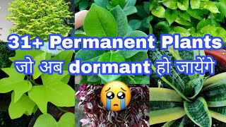 Dormancy period of permanent plants/पौधों की सुप्तावस्था/How to take care of plants in dormancy