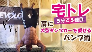 ５分で肩が超パンパンに！【世界チャンプ直伝】三角筋をまんべんなくパンプさせる方法【さくらタイマー⏱付き】