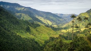 Trekking from Salento through Colombian mountains with Paramo Trek - HD