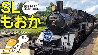 ＳＬもおか　追いかけ　スマホライブ配信　茂木14:26ー15:28真岡　真岡鐵道【ちんあなご＆女将さん】