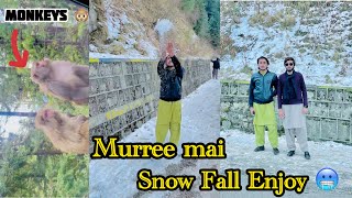 Enjoy Snowfall in Murree | Snowfall | Nathia Gali \u0026 Ayubia | Monkeys | M.Qayyum Vlog’s