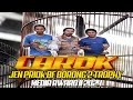 MEDIA AWARD II : CAROK H. NURJEN JEN PRIOK BF BORONG 2 TROPHY...!!!