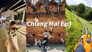 【🇹🇭Chiang Mai Vlog Ep3】一定要来玩的丛林过山车！太好玩了！4天3夜清迈之旅总花费RM900+