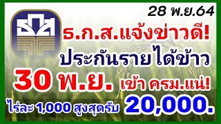 ธ.ก.ส.แจ้งข่าวดี! ประกันรายได้ข้าว 30 พ.ย.เข้า ครม.แน่ ชาวนาเตรียมรับเงิน ไร่ละ1000 รับสูงสุด 20000.