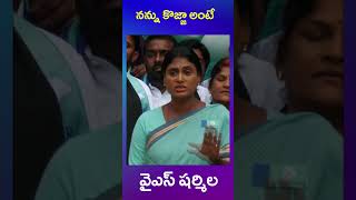 ys sharmila | ys jagan | నన్ను కొజ్జా అంటే