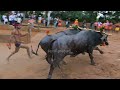 nandalike iruvail doddaguttu boladaguttu iruvail paanila hosmar suryashree kambala miyar