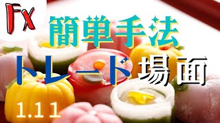 【FX初心者セミナー】 簡単手法トレード場面解説 USDJPY 20220111