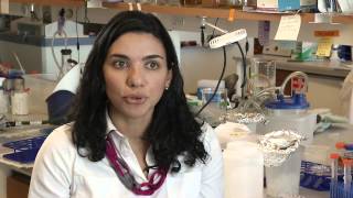 Ana Maldonado, PhD: Vaccines \u0026 the microbiome