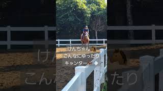 【2024.07.23】ケン号🐴　初心者のレッスンには安心安全！本当に生徒たちにとっては【神】です。#引退馬 #引退競走馬 #馬の学校 #牧場