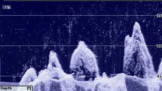 Tips 'n Tricks 47: Humminbird Down Imaging Settings